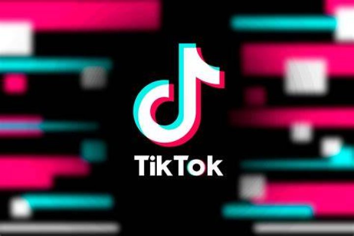 3. TikTok's Measures to Address Distribution of Graphic and Violent Content like "3 Guys 1 Hammer"